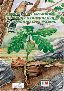 Plantación de árboles comunes de la Comunidad de