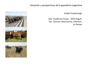 Situación y perspectivas de la ganadería argentina