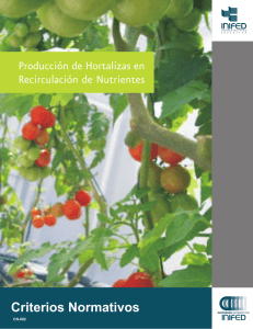 Producci&oacute;n de Hortalizas en Recirculaci&oacute;n de Nutrientes