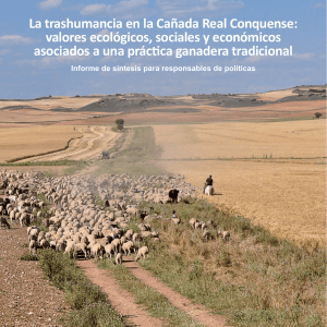 La trashumancia en la Cañada Real Conquense