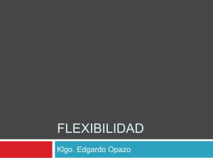 Flexibilidad 2012 - U