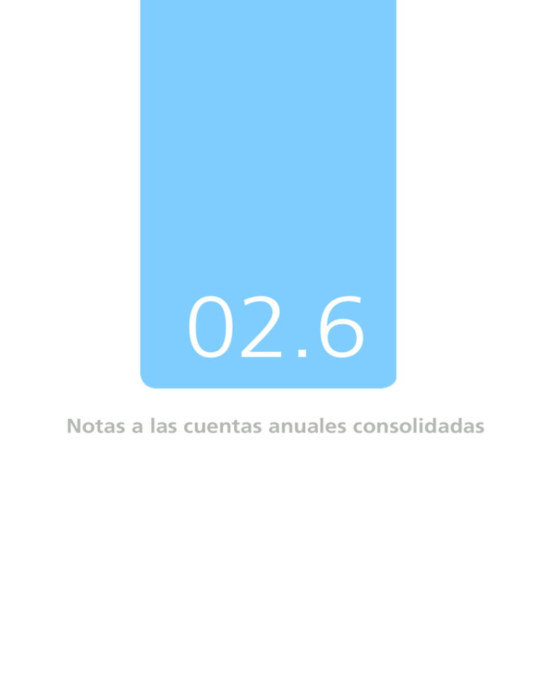 Notas A Las Cuentas Anuales Consolidadas