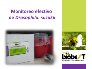Monitoreo efectivo de Drosophila. suzukii