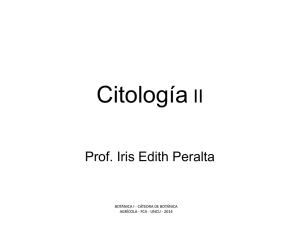 Citología 2 Archivo