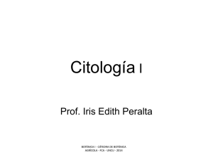Citología I Archivo