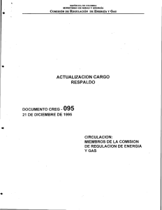 D-095 ACTUALIZACIÓN CARGO RESPALDO