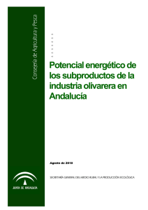 Potencial energético de los subproductos de la industria olivarera