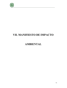 VII. MANIFIESTO DE IMPACTO AMBIENTAL