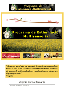 2.5.Programa Estimulacion Multisensorial