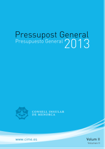 Pressupost 2013 vol. II - Consell Insular de Menorca