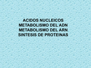 adn - arn - proteinas