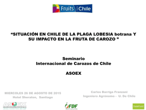 Situación en Chile de la plaga Lobesia botrana y su impacto