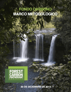 Marco metodológico del Fondo de Carbono