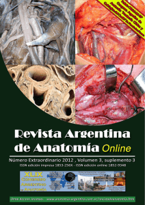 Fernandez Russo, G.A.H. Anatomía Clínica y Quirúrgica del Cuello