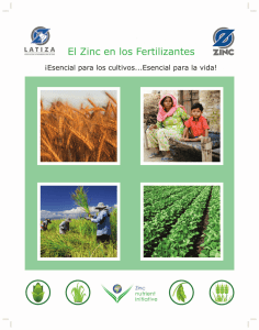 El Zinc en los Fertilizantes