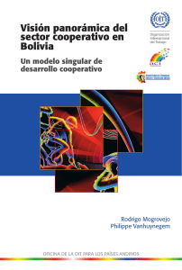 Visi&oacute;n panor&aacute;mica del sector cooperativo en Bolivia