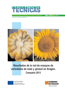 Nº 253. Resultados de la red de ensayos de variedades de maíz y