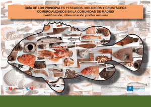 GUÍA PESCA I (INTRODUCCIÓN) 101213:Pescados.qxd