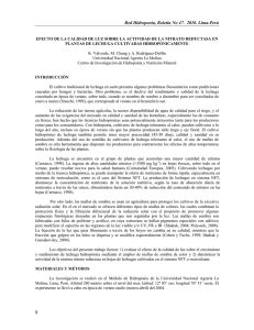 pimientos hidropnicos - Universidad Nacional Agraria La Molina