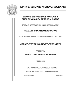 manual de primeros auxilios y emergencias en perros y gatos