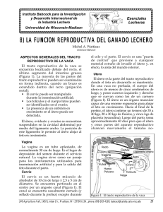 8) LA FUNCION REPRODUCTIVA DEL GANADO LECHERO
