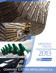 Memoria 2013 - ME Elecmetal