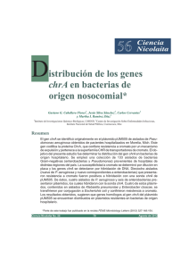Distribución de los genes chrA en bacterias de origen nosocomial*