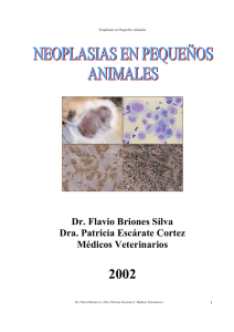 Neoplasias en Pequenos animales
