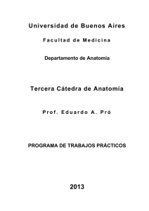 Departamento de Anatomía - Facultad de Medicina