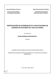 629253 - Academica-e - Universidad Pública de Navarra