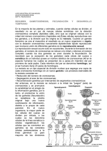 BIOLOGÍA - guía gametogenesis y fecundación