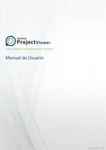 Seavus Project Viewer White Paper
