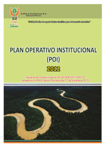 Plan Operativo Institucional Año 2010