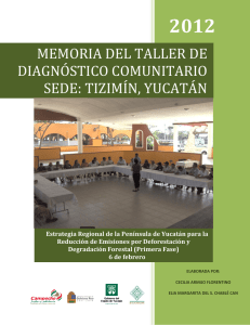 MEMORIA DEL TALLER DE DIAGNÓSTICO COMUNITARIO SEDE