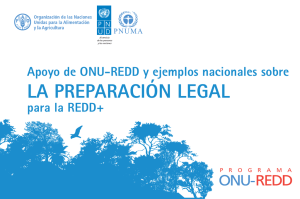 Apoyo de ONU-REDD y ejemplos nacionales sobre la preparación