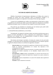 Anexo VII Aduanas - Servicio de Información contable, gestion