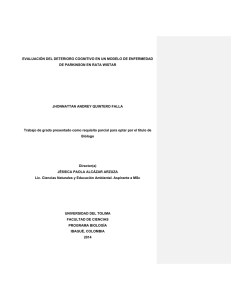 RIUT-AAA-spa-2014-Evaluacion del deterioro cognitivo en un