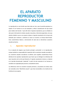 el aparato reproductor femenino y masculino