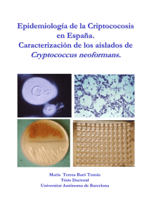 Epidemiología de la Criptococosis en España