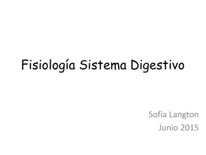 Fisiología Sistema Digestivo