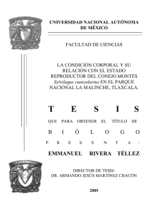 pdf - Instituto de Ecología