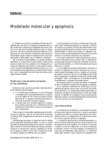 Modelado molecular y apoptosis