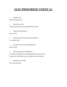 Véase el archivo ELECTROFORESIS VERTICAL
