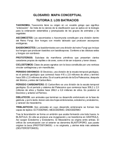 GLOSARIO: MAPA CONCEPTUAL TUTORIA 2. LOS BATRACIOS