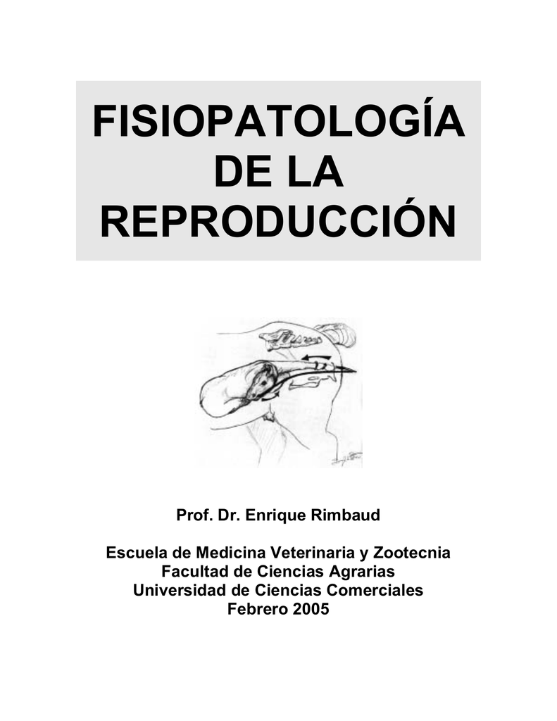 diagnóstico de exantema coital equino de diabetes diagnóstico de exantema coital equino de diabetes