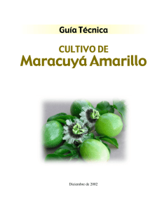 Guía Técnica. Cultivo de Maracuyá Amarillo. CENTA - Bio