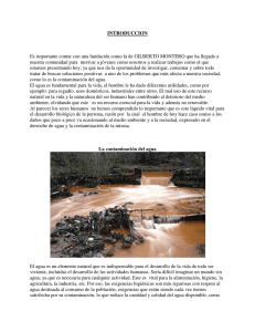 La Contaminacion del Agua ( Tireo )