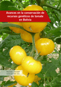 conservacion de RRGG de tomate