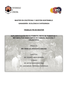 master en zootécnia y gestión sostenible: ganadería ecológica e