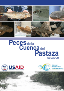 Peces de la Cuenca del Pastaza, Ecuador